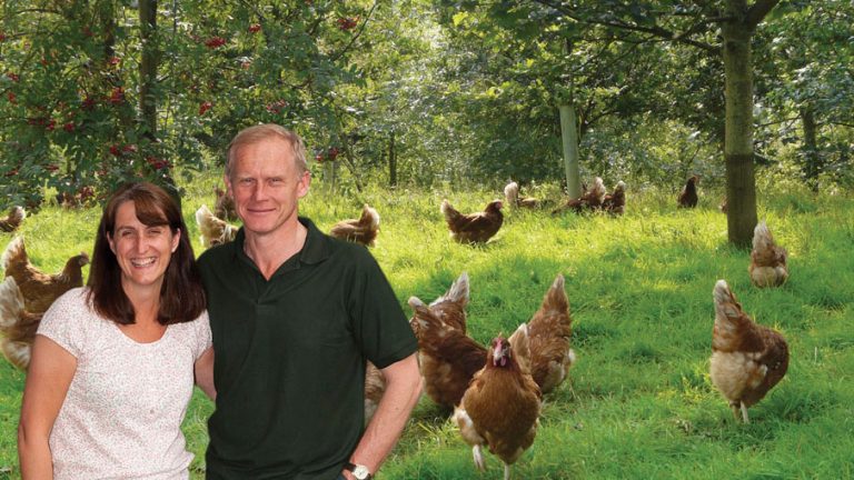 Denna ekologiskt medvetna äggproducent i Penrith i Lakesdistriktet i England investerade i en P500-panna.